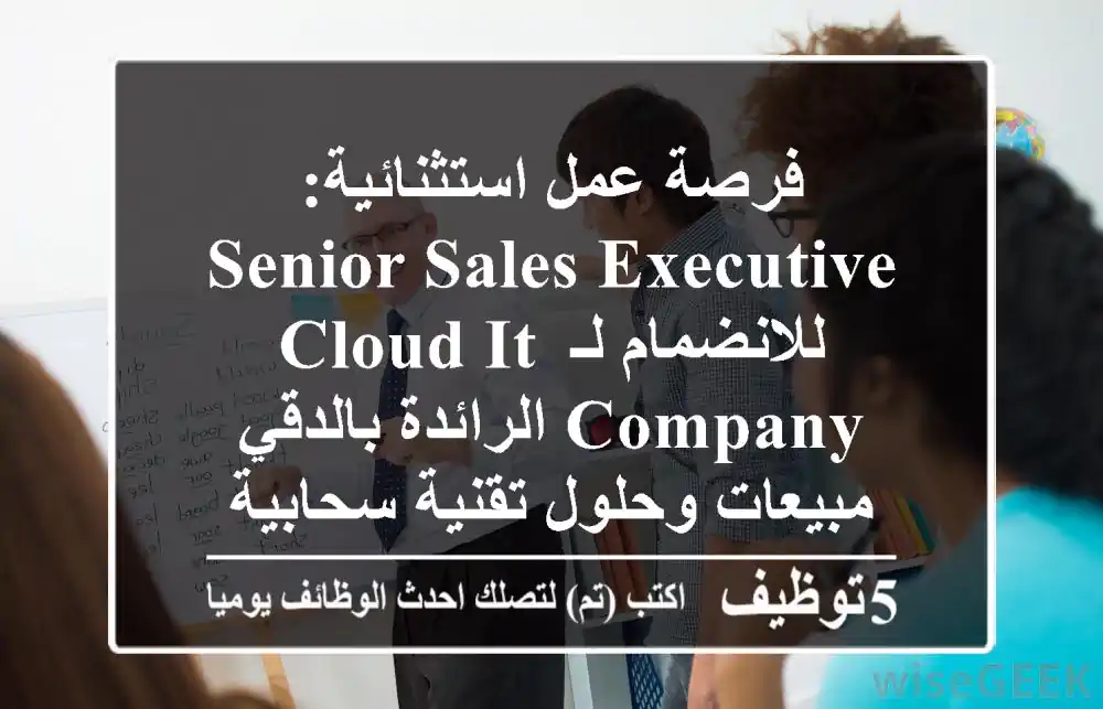 فرصة عمل استثنائية: Senior Sales Executive للانضمام لـ Cloud IT Company الرائدة بالدقي - مبيعات وحلول تقنية سحابية
