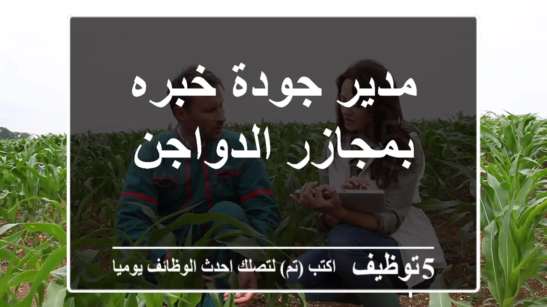 مدير جودة خبره بمجازر الدواجن