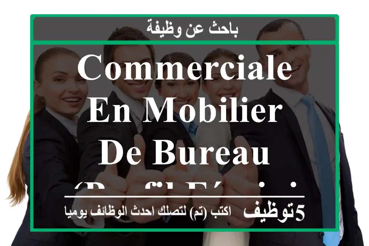 Commerciale en Mobilier de Bureau (Profil féminin)