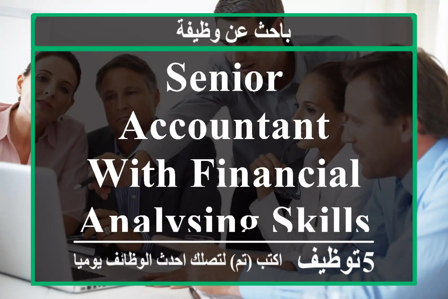 Senior Accountant With Financial Analysing Skills looking job