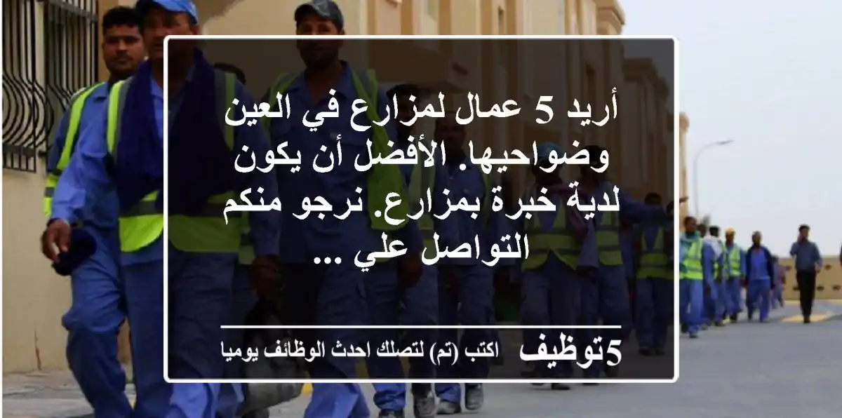 أريد 5 عمال لمزارع في العين وضواحيها. الأفضل أن يكون لدية خبرة بمزارع. نرجو منكم التواصل علي ...