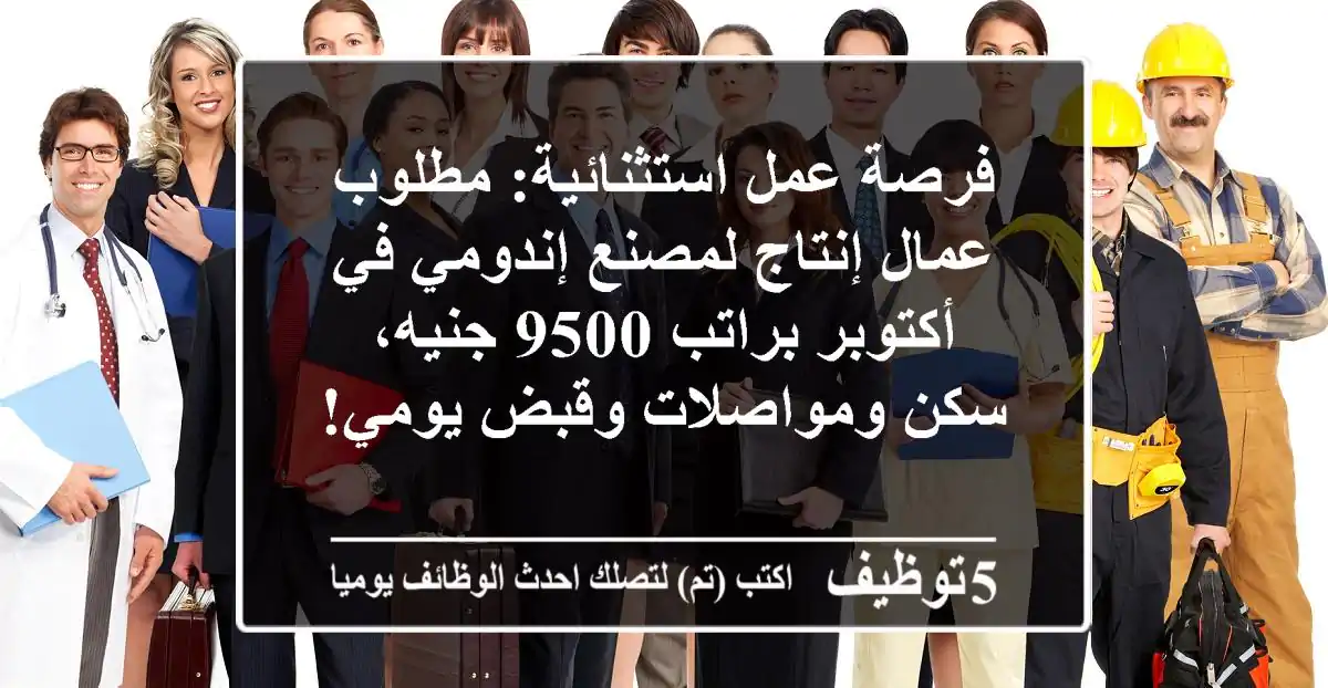 فرصة عمل استثنائية: مطلوب عمال إنتاج لمصنع إندومي في أكتوبر براتب 9500 جنيه، سكن ومواصلات وقبض يومي!