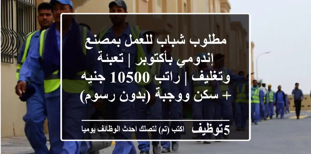 مطلوب شباب للعمل بمصنع إندومي بأكتوبر | تعبئة وتغليف | راتب 10500 جنيه + سكن ووجبة (بدون رسوم)