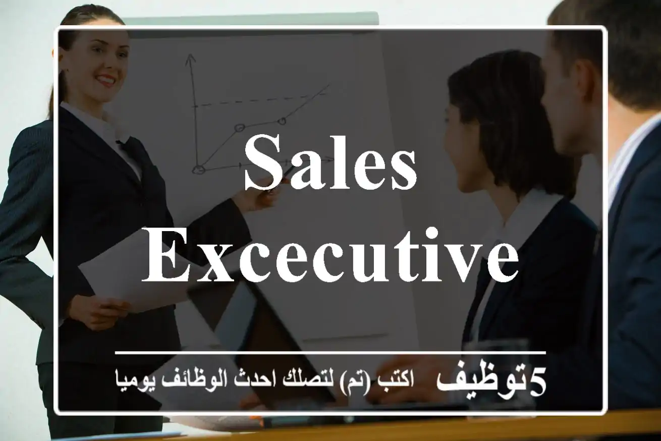 Sales Excecutive