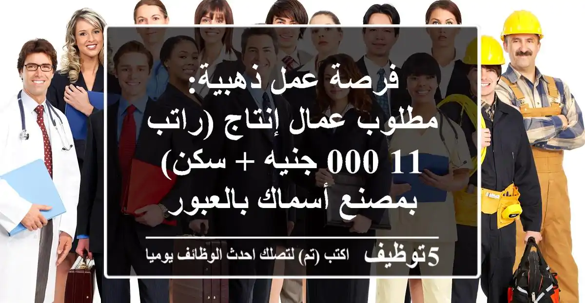 فرصة عمل ذهبية: مطلوب عمال إنتاج (راتب 11,000 جنيه + سكن) بمصنع أسماك بالعبور