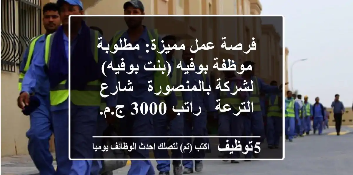 فرصة عمل مميزة: مطلوبة موظفة بوفيه (بنت بوفيه) لشركة بالمنصورة - شارع الترعة - راتب 3000 ج.م.